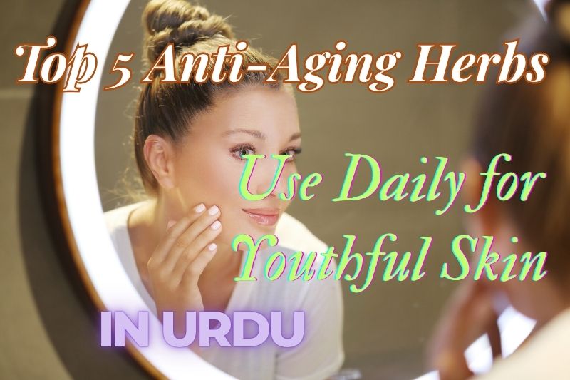 Top 5 herbs for anti-aging and youthful skin